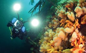 Gulen Dive Resort